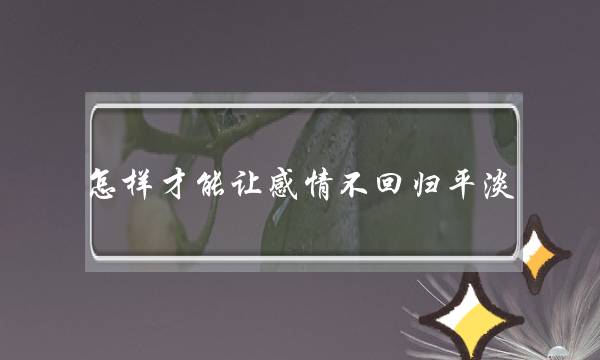 怎样才能让感情不回归平淡