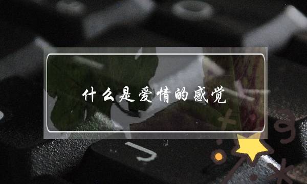 什么是爱情的感觉(伊斯兰教对爱情有什么解释吗)