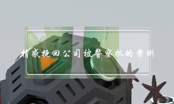 情感挽回公司被警察抓的案例