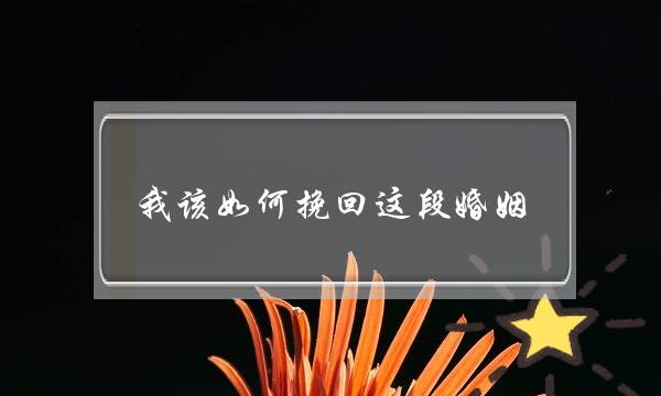 我该如何挽回这段婚姻