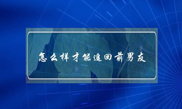 怎么样才能追回前男友