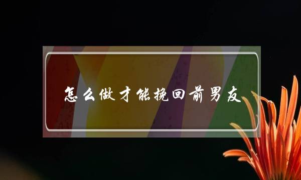 怎么做才能挽回前男友(怎么才能挽回前任)