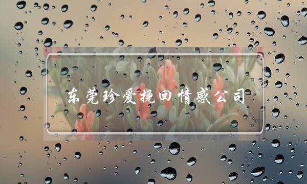 东莞珍爱挽回情感公司