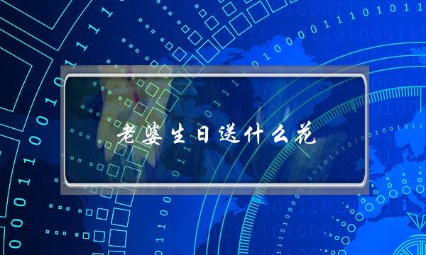 老婆生日送什么花,老婆36岁生日送什么花