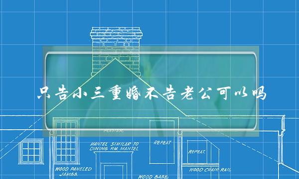 只告小三重婚不告老公可以吗 一般情况下法院不告不理