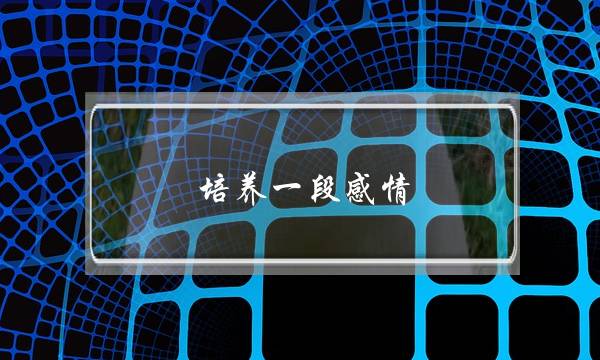 培养一段感情
