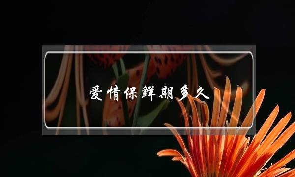 爱情保鲜期多久(异地恋要怎么维持学会7大招让爱情保鲜)