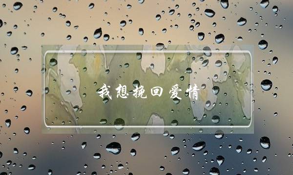 我想挽回爱情