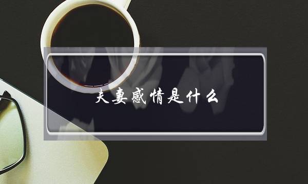 夫妻感情是什么