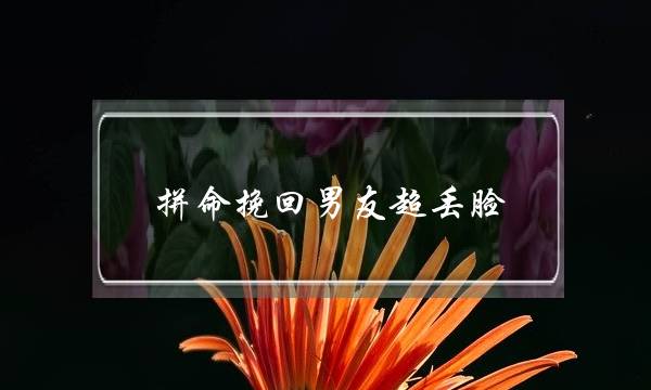 拼命挽回男友超丢脸(女生挽回男友会不会很丢脸)