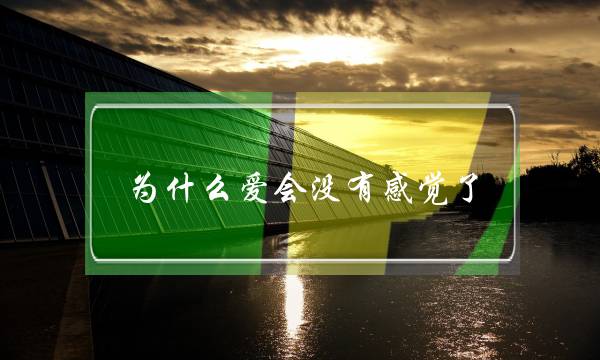 为什么爱会没有感觉了，淡了(是真的没感觉还是爱情变为亲情)