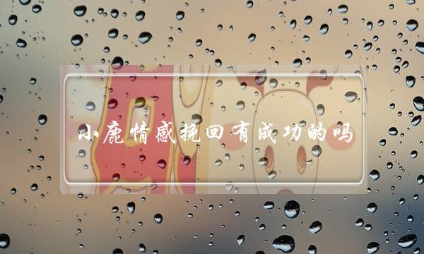 小鹿情感挽回有成功的吗