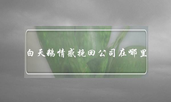 白天鹅情感挽回公司在哪里