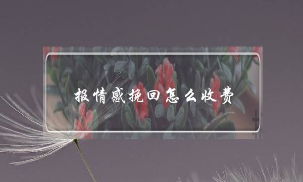 报情感挽回怎么收费