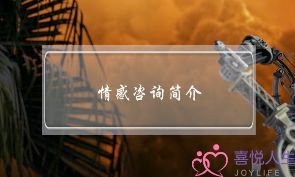 情感咨询简介