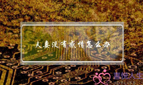 夫妻没有感情怎么办(夫妻没有感情了怎么过下去)