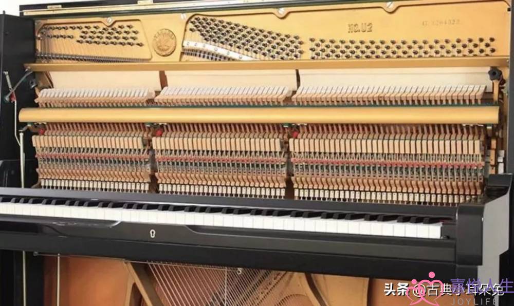 学钢琴的才懂，一般人不知道的冷知识