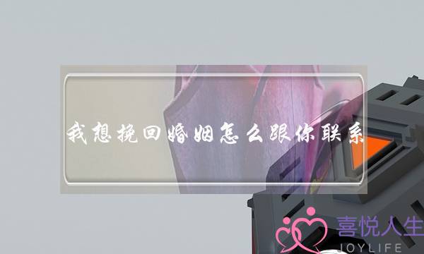 我想挽回婚姻怎么跟你联系