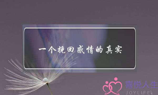 一个挽回感情的真实(挽回一段感情的文章)