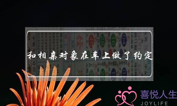 和相亲对象在车上做了约定 他想和我逢场作戏