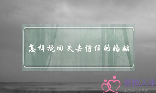 怎样挽回失去信任的婚姻(失去领导信任怎样挽回)