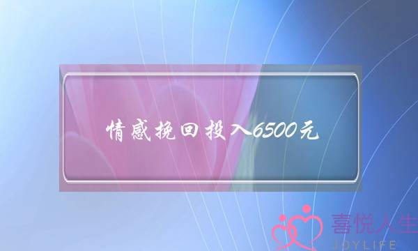 情感挽回投入6500元