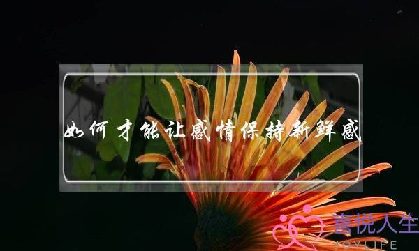 如何才能让感情保持新鲜感？(异地恋的感情，该如何维护？)