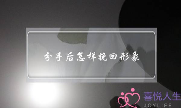 分手后怎样挽回形象(分手后怎样挽回女生)