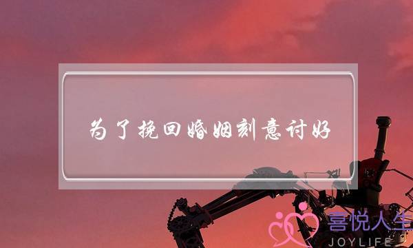 为了挽回婚姻刻意讨好