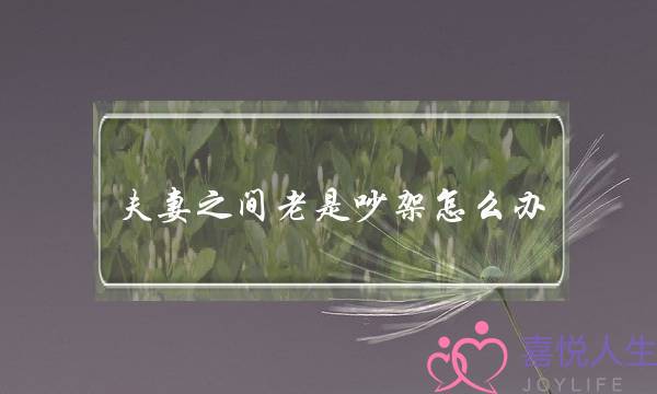 夫妻之间老是吵架怎么办(夫妻之间老是因为小事吵架怎么办)