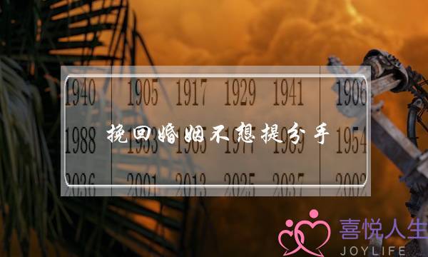 挽回婚姻不想提分手(不想挽回婚姻怎么办)