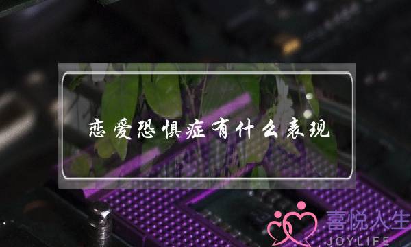 恋爱恐惧症有什么表现,其实是怕受伤