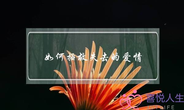 如何拯救失去的爱情(为挽救我的爱情，如何看她的QQ聊天记录)