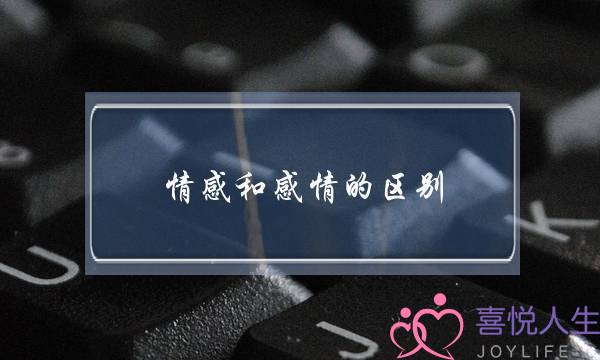 情感和感情的区别(情感和感情的区别在哪)