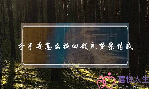 分手要怎么挽回领先梦聚情感