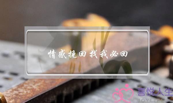 情感挽回找我必回