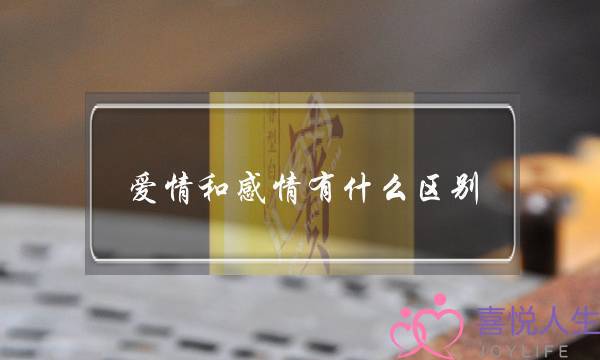 爱情和感情有什么区别