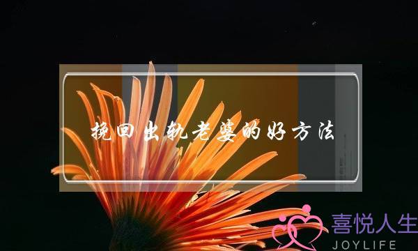 挽回出轨老婆的好方法