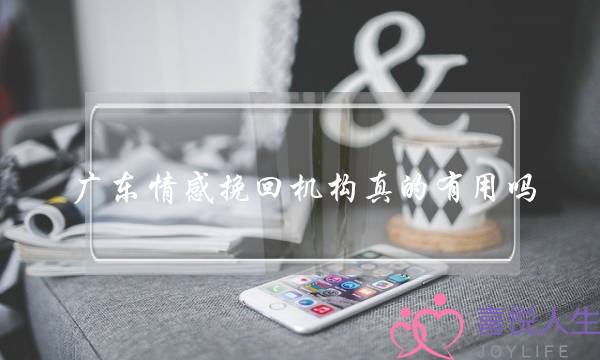 广东情感挽回机构真的有用吗