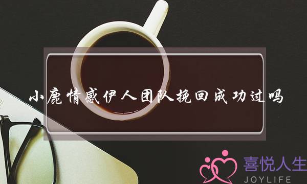 小鹿情感伊人团队挽回成功过吗