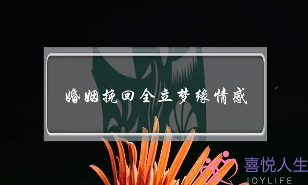 婚姻挽回全立梦缘情感