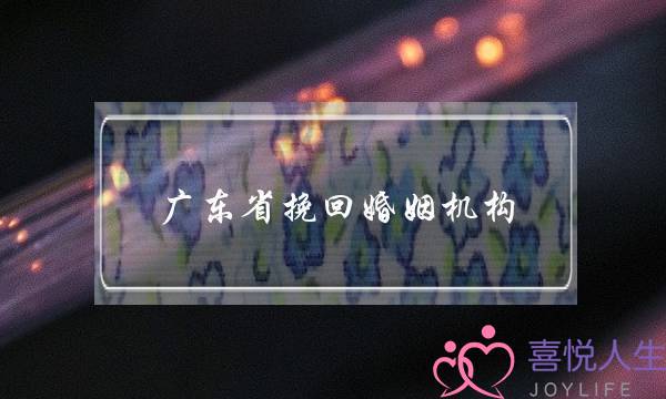 广东省挽回婚姻机构