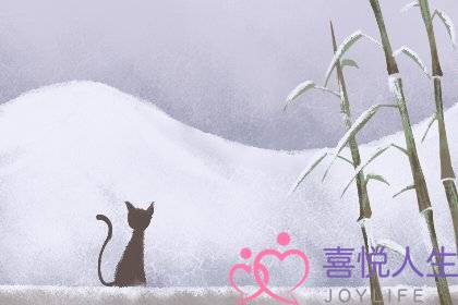 爱情测试