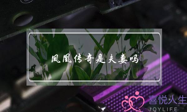 凤凰传奇是夫妻吗（搭档23年未成夫妻）