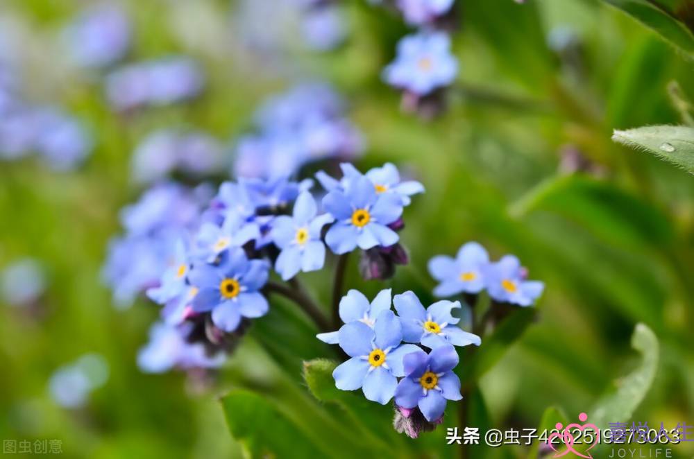婚姻需要的更多是责任，外面的野花好看，但不要随便采