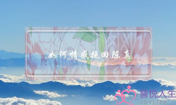 如何情感挽回陈真