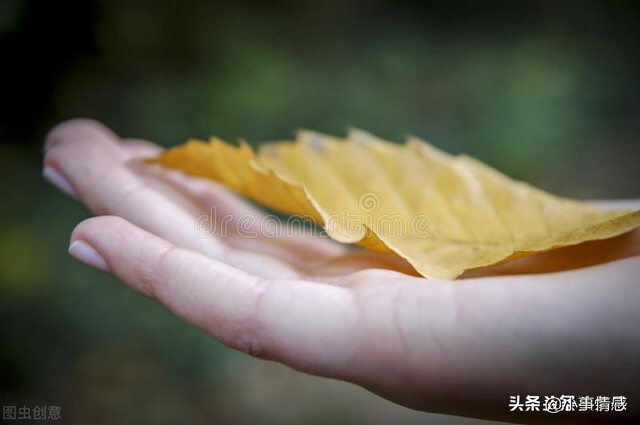 36岁的我出轨大理石老板，以为他很爱我，是我太天真了 ㈡