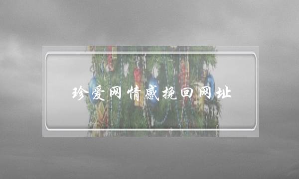 珍爱网情感挽回网址