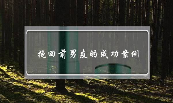 挽回前男友的成功案例(挽回前男友成功经验)