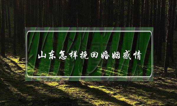 山东怎样挽回婚姻感情